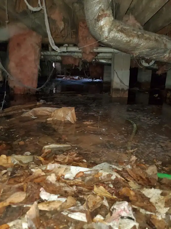Crawl space flood assessment for Leak Detection & Repair in Cascade